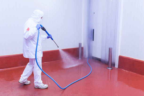 Professional Pressure Washing Services in Philadelphia, MS